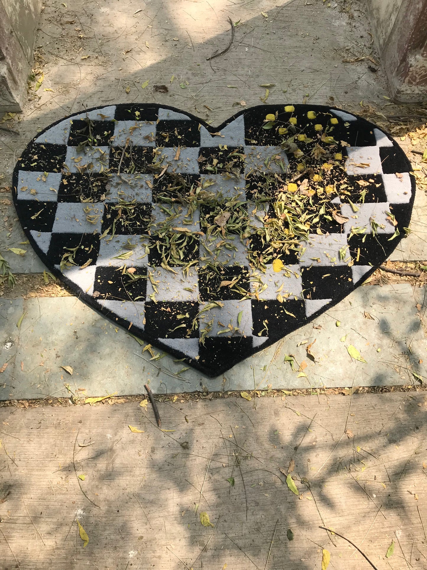 Heart